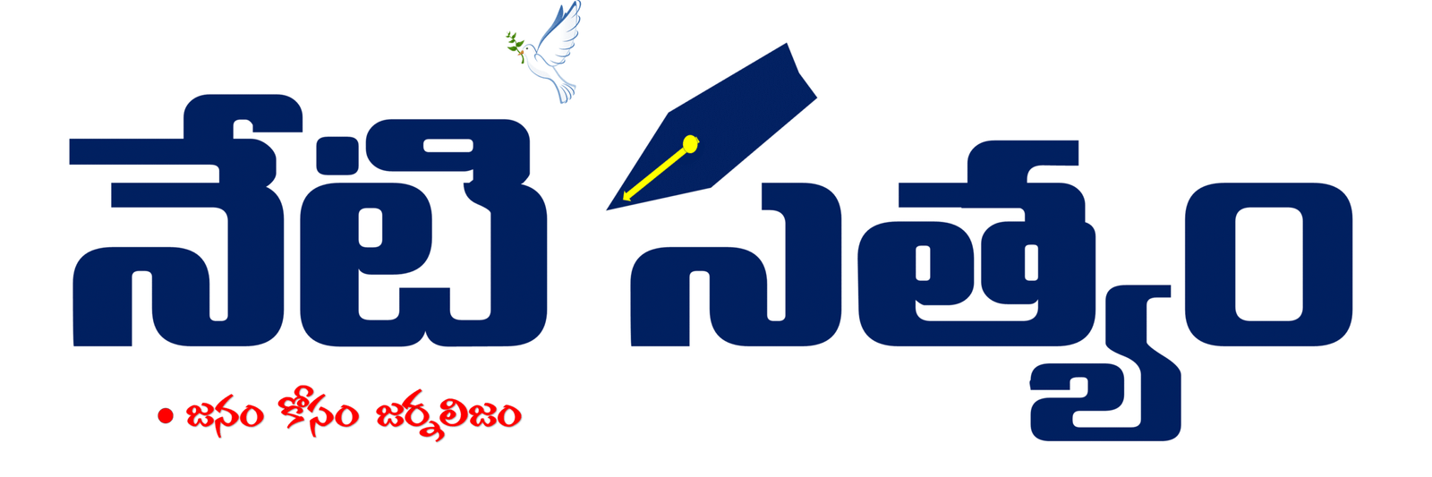 Neti Satyam Logo
