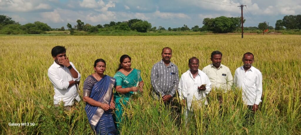 గన్నేరువరం మండల కేంద్రంలో ఏవో కిరణ్మయి ఆధ్వర్యంలో వ్యవసాయ క్షేత్ర ప్రదర్శన