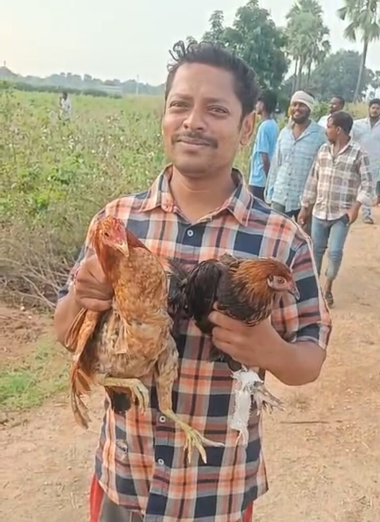 ఊరంతా నాటుకోడు పులుసు