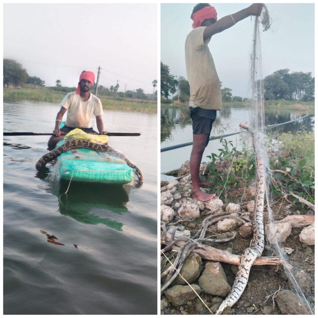 జాలర్ల వలలో చిక్కిన కొండచిలువ