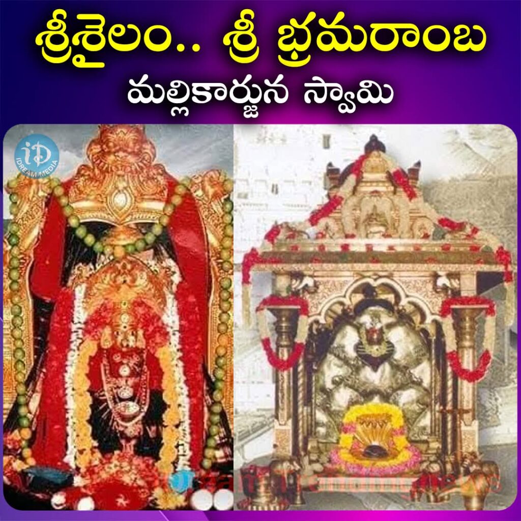 మహా పర్వదినం..మహాశివరాత్రి