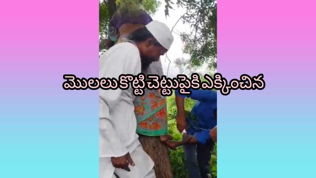 వృద్ధ మహిళకు చిత్రహింసలు